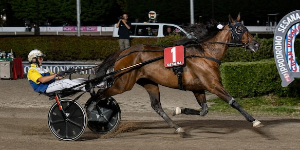 Montecatini, successo di Goodbye Kiss nel 73° Gran Premio Nello Bellei