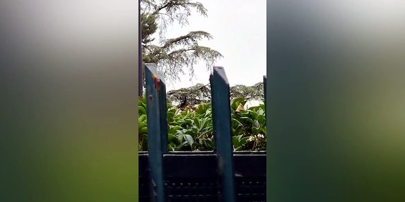 Milan, l'elicottero di Cardinale lascia Milanello