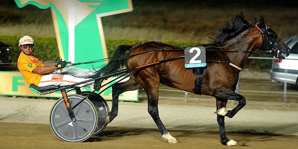 Foggia, infinito Always Ek: trionfo nel 1° Gran Premio del Gargano