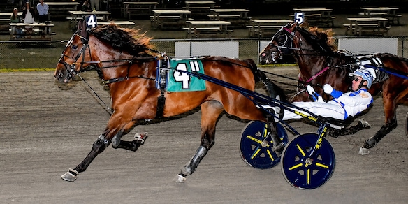 USA, l'Italia all'Hambletonian: American Power al Derby del trotto statunitense