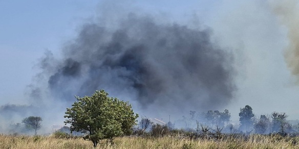 Incendi in Basso Molise, evacuati campeggi, chiuse statale e ferrovia
