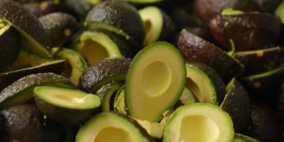 Il Messico annuncia misure per riprendere l'export di avocado negli Usa