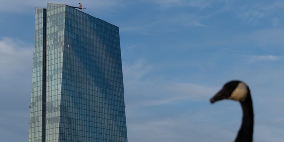 Bce, raddoppia l'uso dell'Ia ma la metà dei dipendenti è frenata