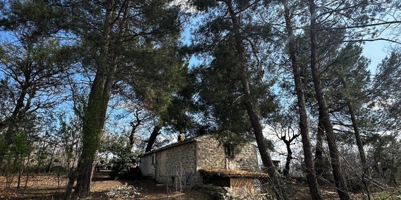 Nuova assistente sociale per la famiglia del bosco