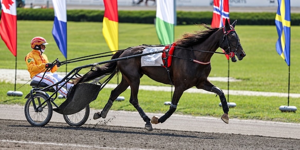 New York, Diva Ek all’International Trot. Weekend di corse con il 100° Derby Sardo e il Gran Premio Federnat