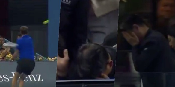 Medvedev, ma che fai? Tira una pallina in tribuna e colpisce un tifoso