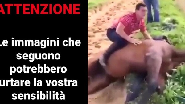 Salta sul cavallo morto: bufera in Inghilterra per il video shock