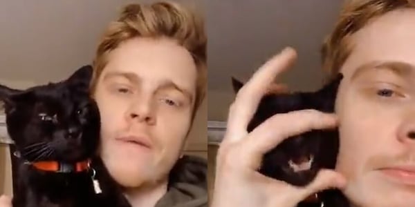 Che duetto! Gatto e padrone cantano Lady Gaga
