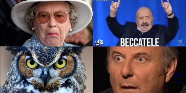 L'Italia gufa l'Inghilterra sui social: ironie, cori rubati e biscotti danesi!