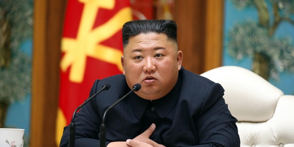 Crisi alimentare in Corea del Nord: si mangiano anche i cigni neri