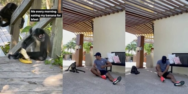 Sainz in Messico non resiste alle scimmiette: la sua imitazione è esilarante!