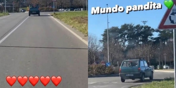 Vidal e la Panda, amore infinito: per il cileno è tutto... "Mundo Pandita"