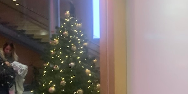 Helsinki, la Roma accolta in Finlandia dagli alberi di Natale!