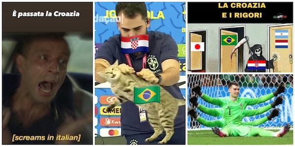 Brasile fuori dal Mondiale, social impazziti: "È la vendetta del gatto!"