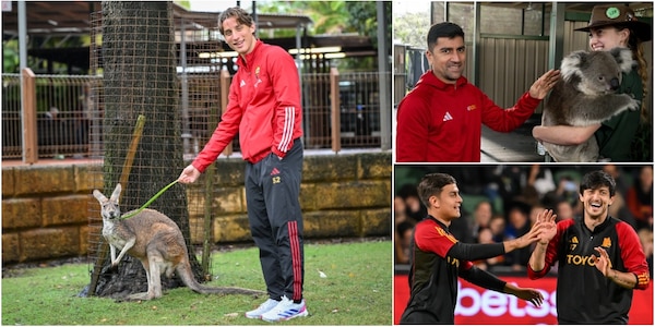 Roma d'Australia: le foto allo zoo con koala, canguri e serpenti sono virali