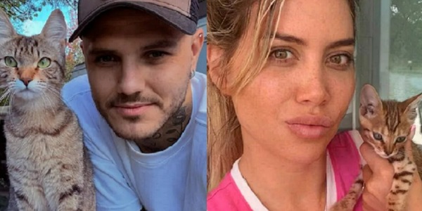 Wanda Nara e figli, nuovo dramma: spariti gli animali domestici. E Icardi...