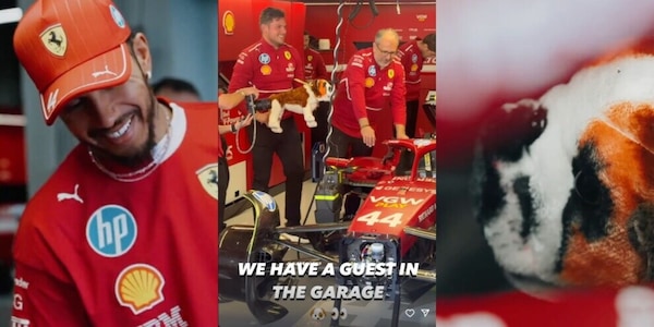 "Che ci fa Roscoe al volante?": lo scherzo della Ferrari a Hamilton è esilarante