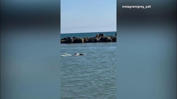 Paltrinieri, che scheggia in mare
