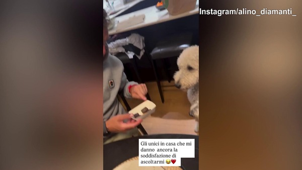 Diamanti 'sconsolato' con i cani: "Sono gli unici che mi danno retta..."