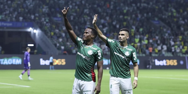 Pronostico Palmeiras-Gremio, il " Verdão" vuole mettere la quinta