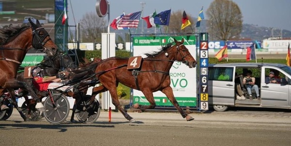 Ippica, Torino: Gran Premio Costa Azzurra e Derby dei 4 anni, è grande trotto internazionale il 6 aprile a Vinovo