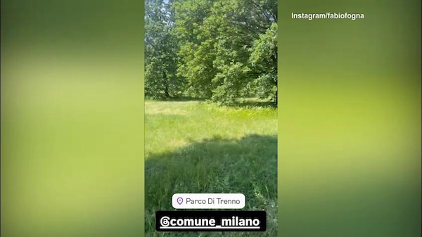 Fognini contro il Comune di Milano: "Tagliate l'erba"