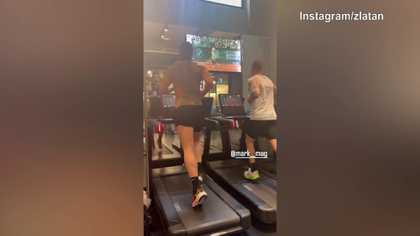 Ibra, corsa sul tapis roulant