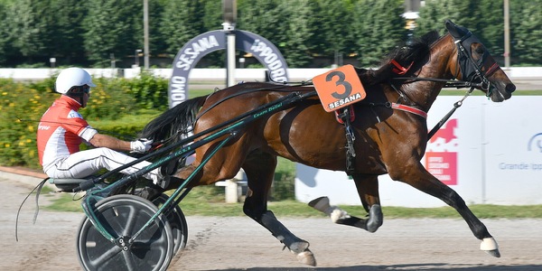 Montecatini, Iridio sbanca il Sesana: vittoria e record nel Premio Scuderia Big David
