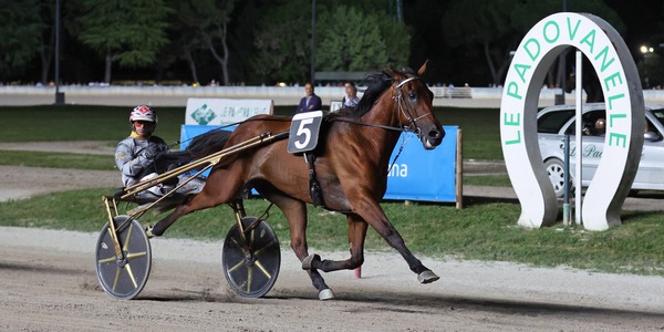 Padova, capolavoro Dubhe Prav: domina il GP Grassetto e firma il bis con Santo Mollo