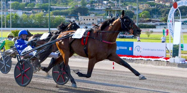 Trotto, l’italiano Free Time Jepson al comando provvisorio dal ranking europeo del circuito UET
