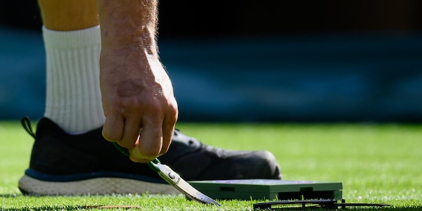 A Wimbledon è tutto pronto nei dettagli: si misura l'altezza dell'erba con il righello e si taglia ciuffo per ciuffo