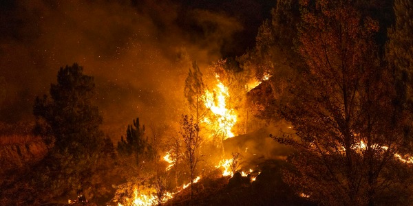 Bosco in fiamme in Spagna, almeno 12 morti