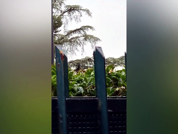 Milan, l'elicottero di Cardinale lascia Milanello