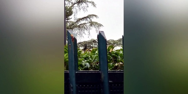 Milan, l'elicottero di Cardinale lascia Milanello