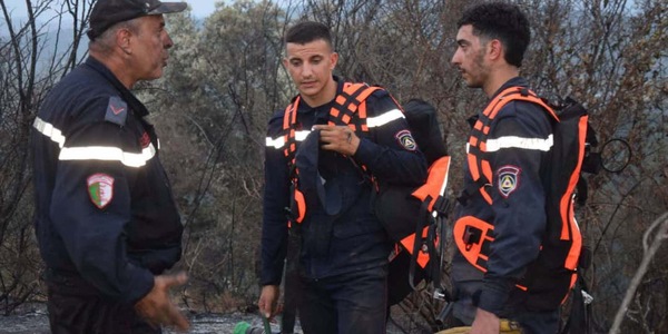 Incendi boschivi in Algeria, almeno sei i morti