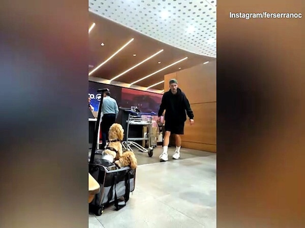 Gimenez, quante risate in aeroporto
