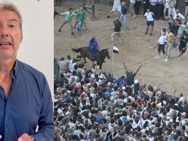 Palio di Siena: vince la contrada del Nicchio, trionfo per Tittia