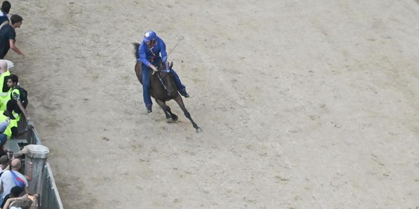 Palio Siena, vince la contrada del Nicchio