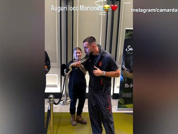 Gila, compleanno con...il serpente