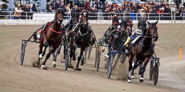 Torino, trotto da sogno l'11 ottobre a Vinovo: Derby e Oaks, Grand Prix UET e finale UET Elite Circuit