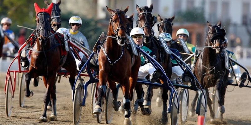 Ippica, Torino attende il GP Costa Azzurra: Vinovo casa del trotto europeo, una storia che si rinnova dal 1961