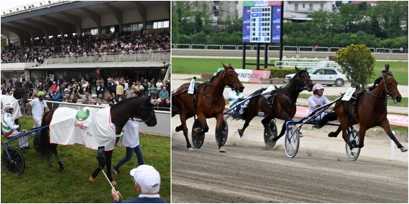 https://cdn.corrieredellosport.it/img/800/600/2026/05/02/120737682-778aa123-2525-4ba8-8e4e-79c1a317efb3.jpg