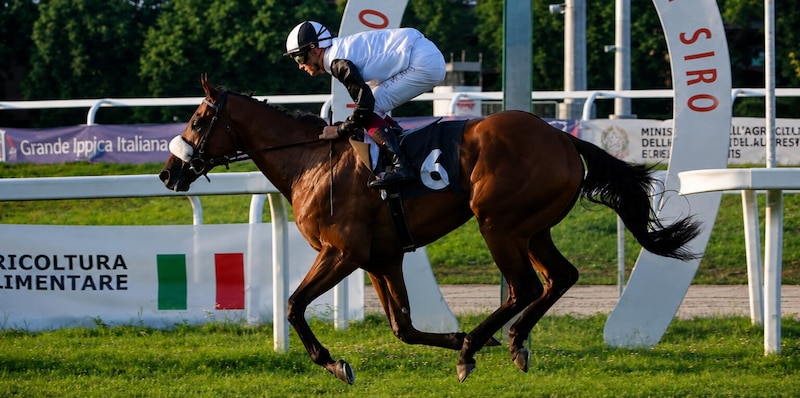 https://cdn.corrieredellosport.it/img/800/600/2026/07/07/142940605-3a81c957-3649-474e-a718-05067d391646.jpg