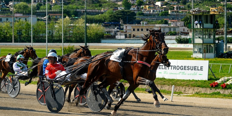 https://cdn.corrieredellosport.it/img/800/600/2026/07/24/074118751-72666610-3c61-40bd-a0bf-33bdfb30b0ec.jpg