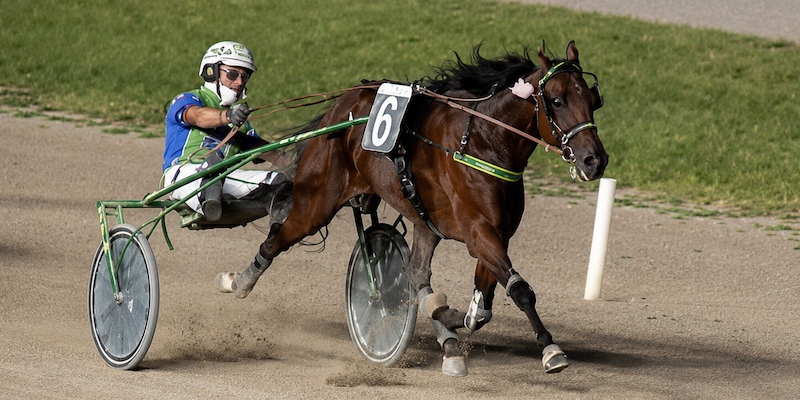 https://cdn.corrieredellosport.it/img/800/600/2026/07/27/085655571-57066680-3871-4328-903f-9f46506d4a78.jpg
