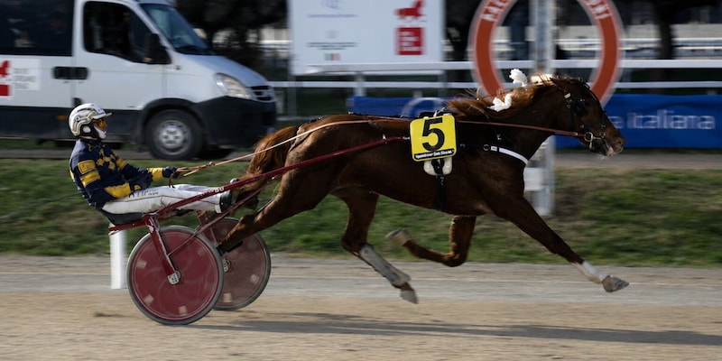 https://cdn.corrieredellosport.it/img/800/600/2026/08/07/071833722-90b47217-1324-4492-b551-cda0572e813c.jpg