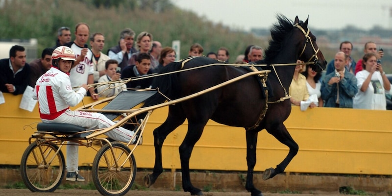 Addio a Varenne, il cavallo più forte nella storia del trotto