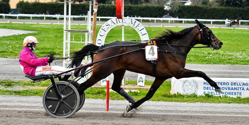 https://cdn.corrieredellosport.it/img/800/600/2026/08/28/081749483-2f857f15-3698-4712-b3ae-889b83628fd0.jpg