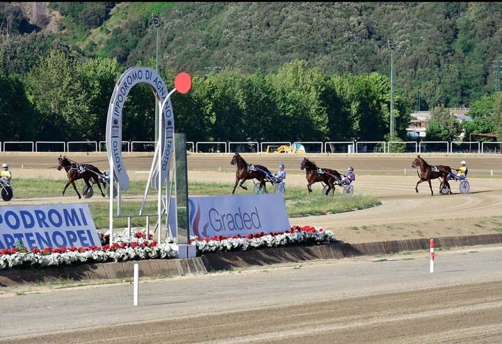 I Cavalli Tornano In Corsa