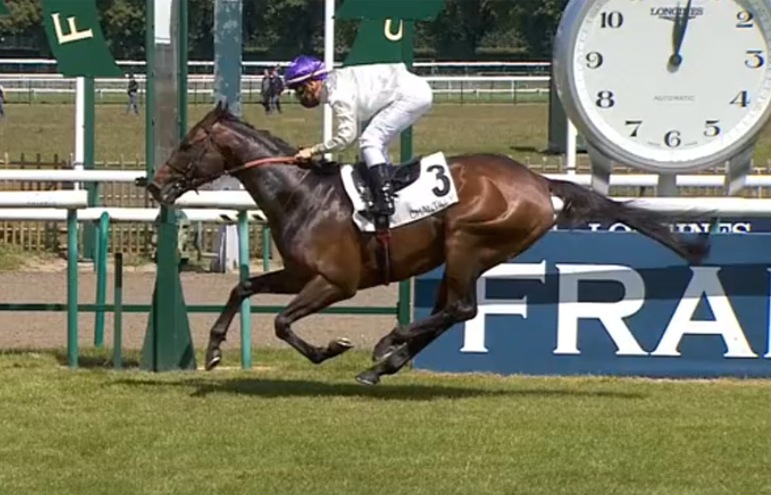 19 5 2020 Ippicanews